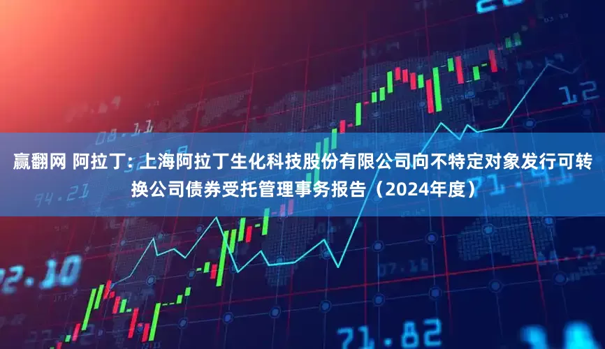 赢翻网 阿拉丁: 上海阿拉丁生化科技股份有限公司向不特定对象发行可转换公司债券受托管理事务报告(2024年度)